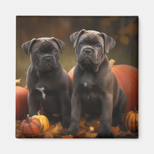 Cane Corso Welpe Autumn Delight Pumpkin Magnet