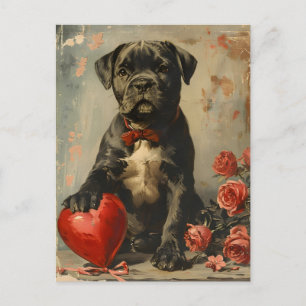 Cane Corso Welpe Vintag Valentinstag Postkarte