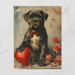 Cane Corso Welpe Vintag Valentinstag Postkarte