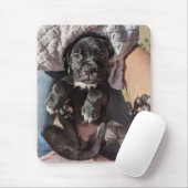 Cane Corso Welppy Mouse Pad Mousepad (Mit Mouse)