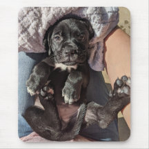 Cane Corso Welppy Mouse Pad
