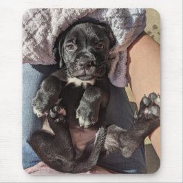 Cane Corso Welppy Mouse Pad Mousepad