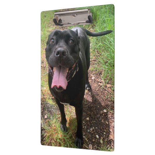 Cane Corso X Zwischenablage Klemmbrett (Links)