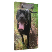 Cane Corso X Zwischenablage Klemmbrett (Rechts)
