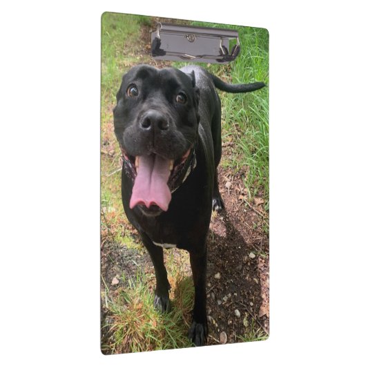 Cane Corso X Zwischenablage Klemmbrett (Rechts)