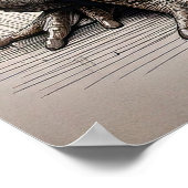 Cane Toad - Art Print Poster (Ecke)