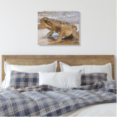 Cane Toad Rhinella marina, früher Bufo Leinwanddruck (Insitu (Schlafzimmer))