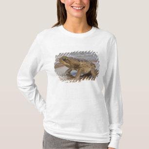 Cane Toad Rhinella marina, früher Bufo T-Shirt