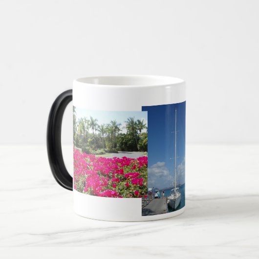 Caneel Bucht, Johannes, USVI Verwandlungstasse (Vorderseite Links)