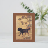 Cangni 苍 猊 ~ Tibetan Mastiff ~Giuseppe Castiglione Postkarte (Stehend Vorderseite)
