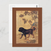 Cangni 苍 猊 ~ Tibetan Mastiff ~Giuseppe Castiglione Postkarte (Vorne/Hinten)