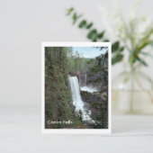 Canim Falls Postkarte (Stehend Vorderseite)
