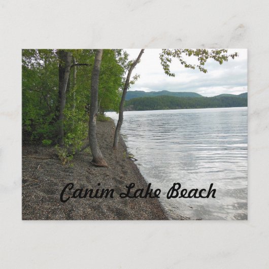 Canim Lake Beach Postcard Postkarte (Vorderseite)