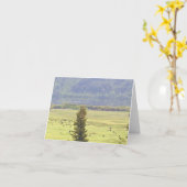 Canim Lake Cattle Note Card Karte (Gelbe Blume)