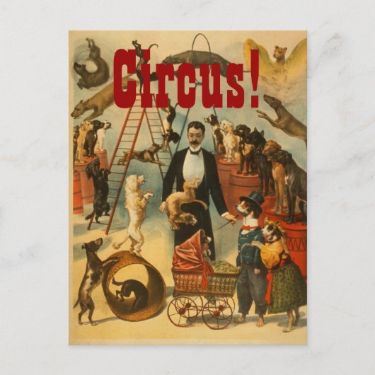 Canine Circus - Postkarte Nr. 2 (Vorderseite)