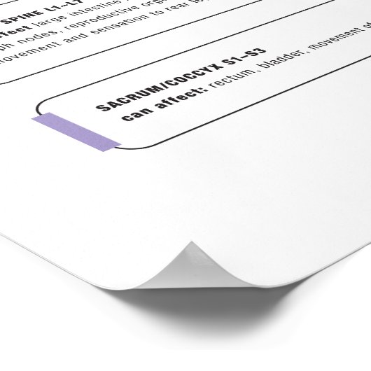 Canine Poster (Ecke)