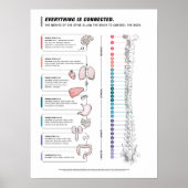 Canine Poster (Vorne)