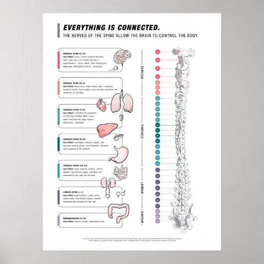 Canine Poster (Vorne)