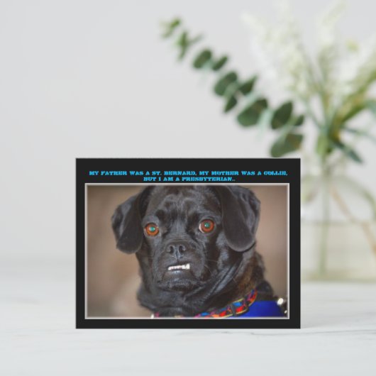 "Canine Spaß" Postkarte (Stehend Vorderseite)