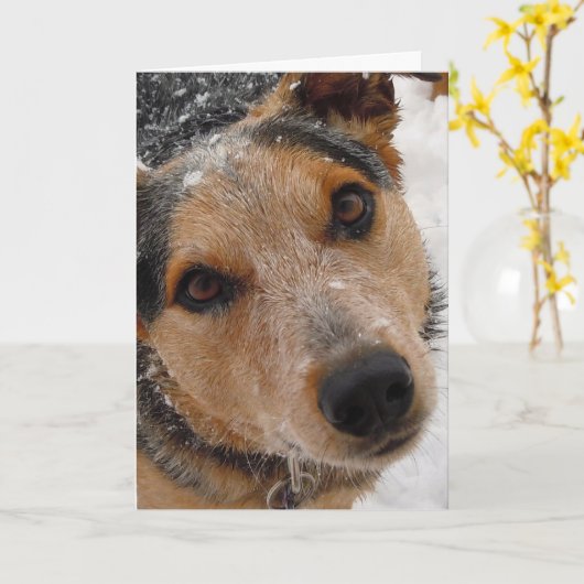 Canine Vet Graduate Glückwunsch Abschluss Karte (Gelbe Blume)