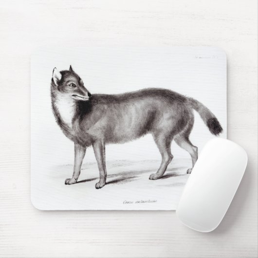 Canis Antarcticus Mousepad (Mit Mouse)