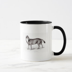 Canis Antarcticus Tasse