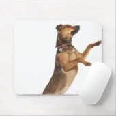 Canis familiaris 2 mousepad (Mit Mouse)