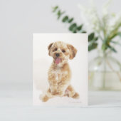 Canis familiaris postkarte (Stehend Vorderseite)