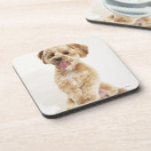 Canis familiaris untersetzer (Linke Seite)