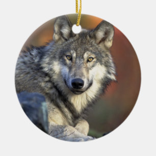 Canis_lupus_Grey Wolf-Weihnachtsverzierung Keramikornament