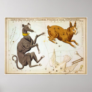 Canis Major, Lepus, Columba Noachi & Cela Bildhaue Poster