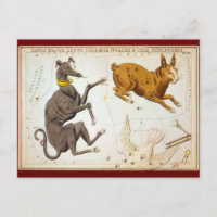 Canis Major, Lepus, Columba Noachi & Cela Bildhaue
