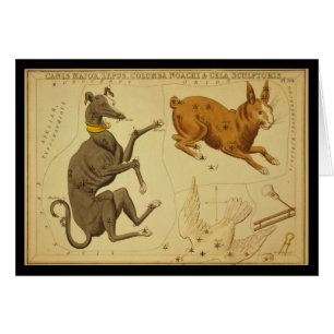 Canis-Major, Lepus, Columba Noachi Cela Sculptoris