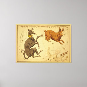 Canis Major Vintag Astronomisches Star Chart Image Leinwanddruck