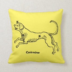 Canis-Minderjähriger, 1482 Kissen