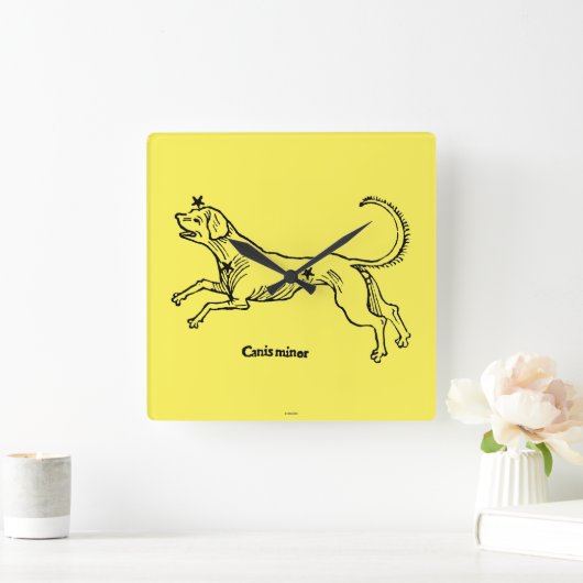 Canis-Minderjähriger, 1482 Quadratische Wanduhr (Zuhause)