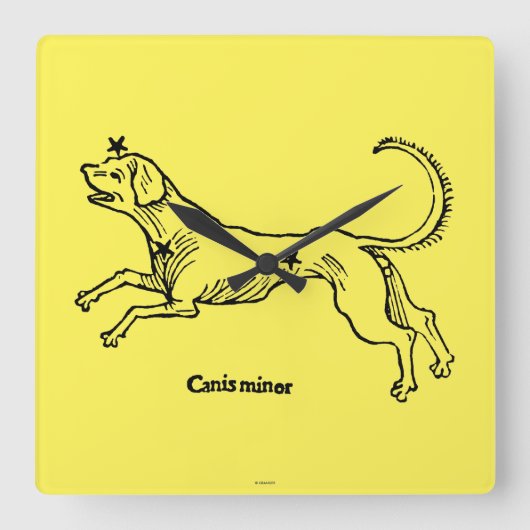 Canis-Minderjähriger, 1482 Quadratische Wanduhr (Vorderseite)