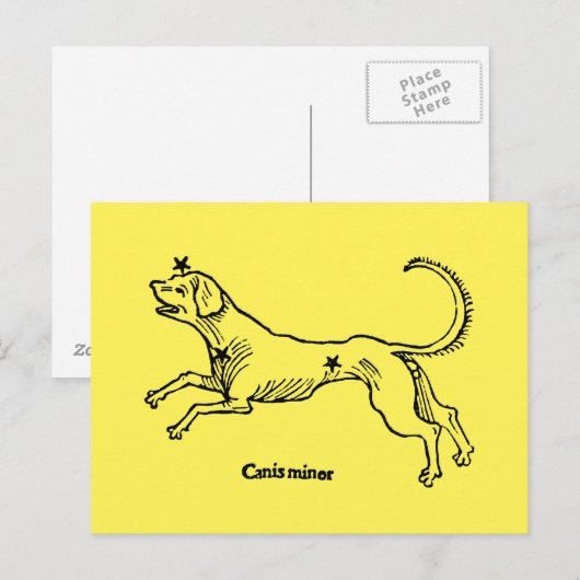 Canis Minor, 1482 Postkarte (Vorne/Hinten)