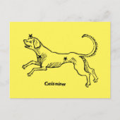 Canis Minor, 1482 Postkarte (Vorderseite)