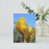 Canna # 1 postkarte (Stehend Vorderseite)