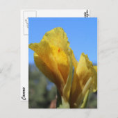 Canna # 1 postkarte (Vorne/Hinten)