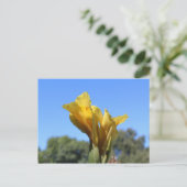 Canna # 3 postkarte (Stehend Vorderseite)