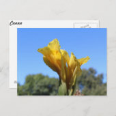 Canna # 3 postkarte (Vorne/Hinten)
