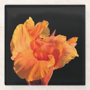 Canna Glasuntersetzer