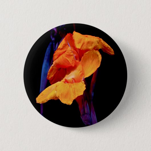 Canna Lilies auf Schwarz mit Blau Button (Vorderseite)