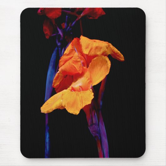 Canna Lilies auf Schwarz mit Blau Mousepad (Vorne)