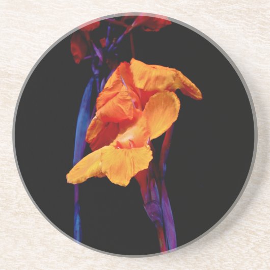 Canna Lilies auf Schwarz mit Blau Untersetzer (Vorne)