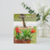 Canna Lilies Blume Postkarte (Stehend Vorderseite)