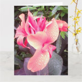 Canna Lily Foto BIG Card & Insu Foto/Wörter hinten Karte (Gelbe Blume)