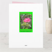 Canna Lily Foto BIG Card & Insu Foto/Wörter hinten Karte (Rückseite)